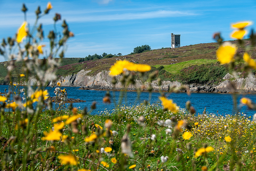 Anfaenger Fotokurse für Naturfotografen auf dem Ring of Kerry