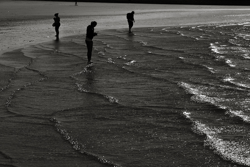 Im Fotoworkshop Muscheln am Strand auf Baltrum fotografieren