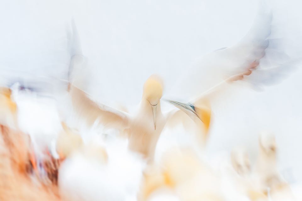 Kreative Fotografie mit Basstoelpeln auf Helgoland