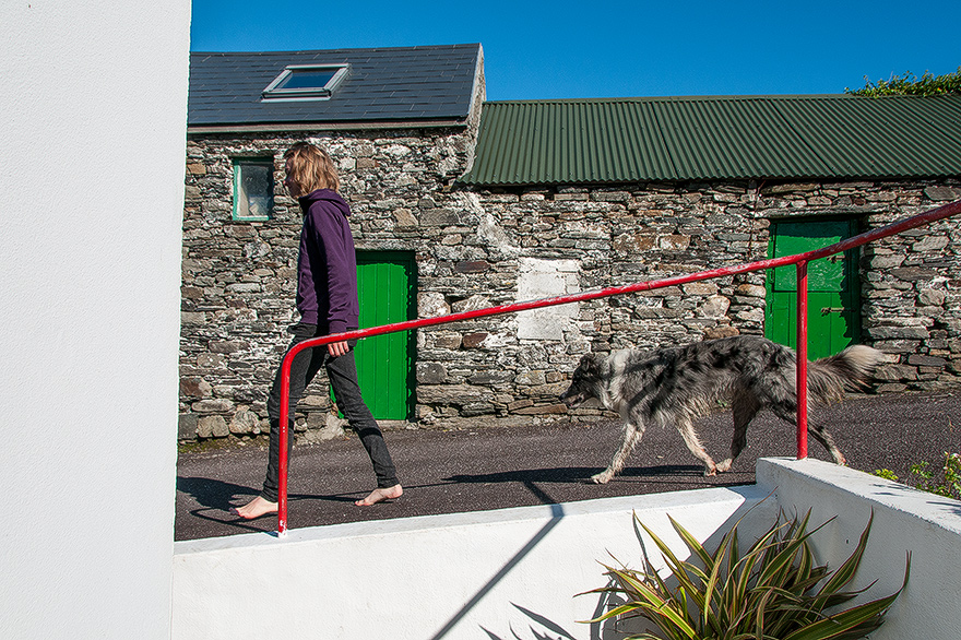 Fotoschulung zur Hundefotografie in Irland